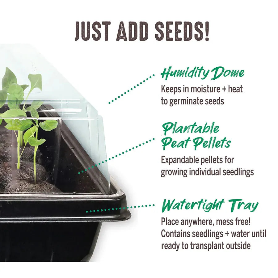 Smart Seed Starting Tray, 12 Cell